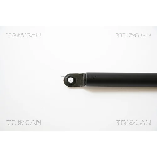 Pneumatická pružina, Batožinový/nákladný priestor 8710 40222 /TRISCAN/ - obr. 1