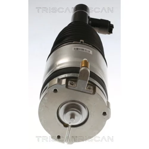Vzduchový vak 8720 27102 /TRISCAN/ - obr. 1