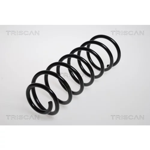 Pružina podvozku TRISCAN 8750 2126