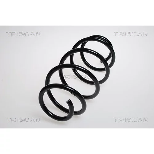 Pružina podvozku 8750 24144 /TRISCAN/