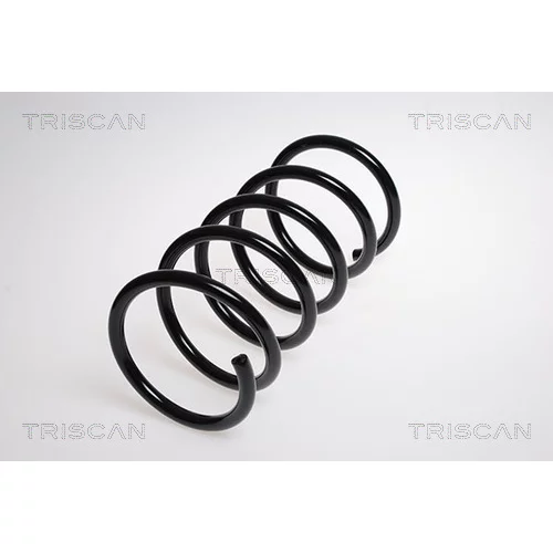 Pružina podvozku TRISCAN 8750 2769