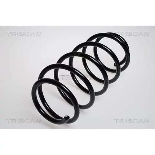 Pružina podvozku TRISCAN 8750 2943