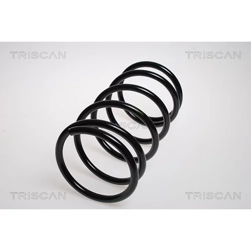 Pružina podvozku TRISCAN 8750 4256