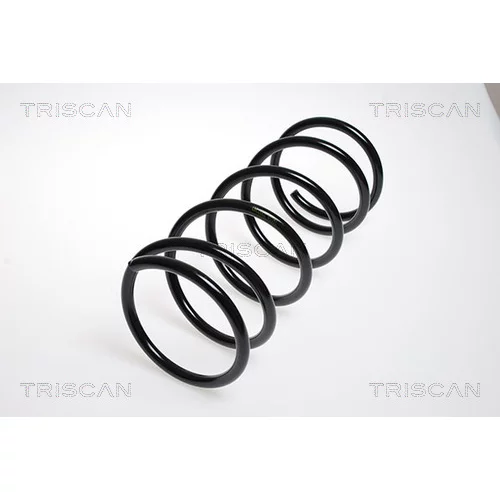 Pružina podvozku TRISCAN 8750 4265