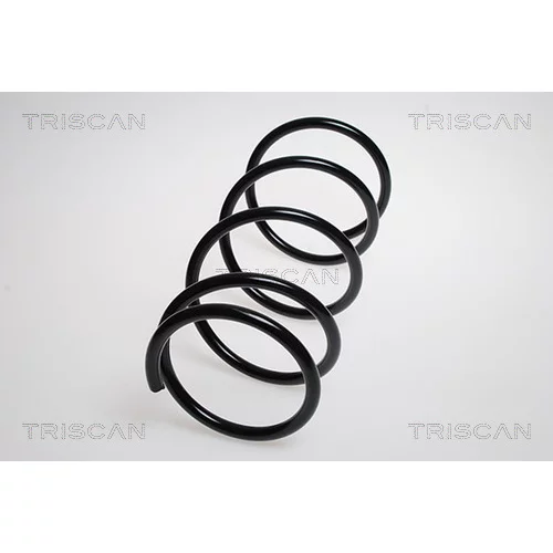 Pružina podvozku TRISCAN 8750 6816
