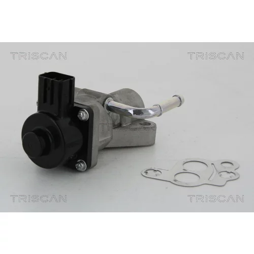 EGR ventil 8813 10014 /TRISCAN/ - obr. 1