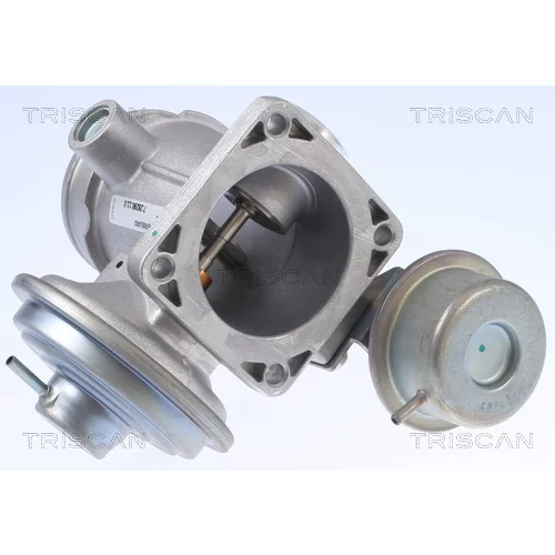 EGR ventil 8813 10034 /TRISCAN/ - obr. 1