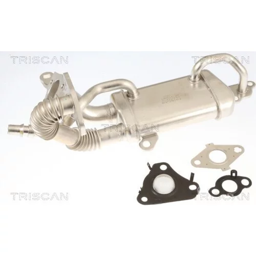 Chladič pre recirkuláciu plynov TRISCAN 8813 10061