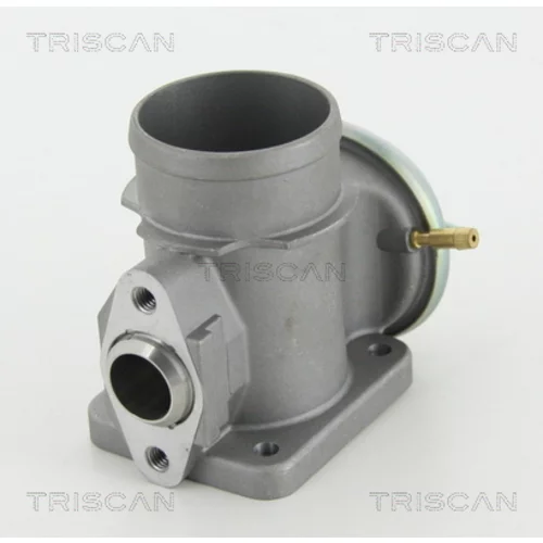 EGR ventil 8813 10101 /TRISCAN/ - obr. 1