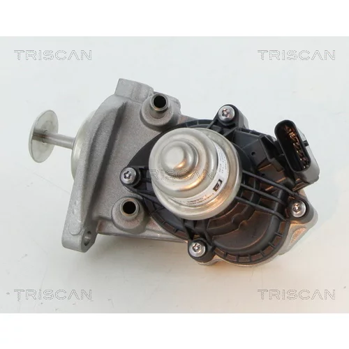EGR ventil 8813 11007 /TRISCAN/ - obr. 1