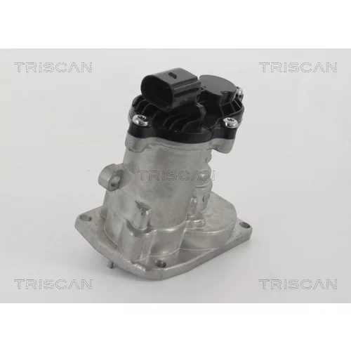 EGR ventil TRISCAN 8813 16151