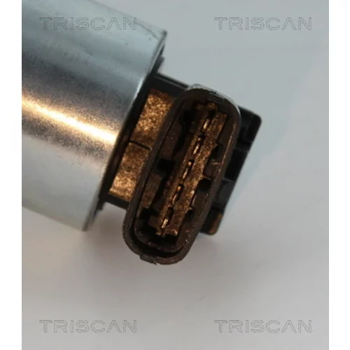 EGR ventil 8813 24102 /TRISCAN/ - obr. 1