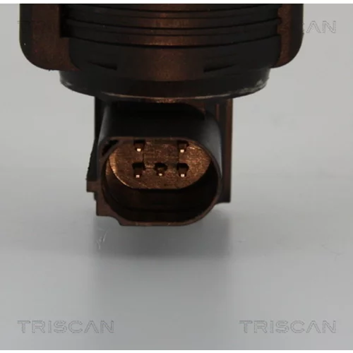 EGR ventil 8813 25005 /TRISCAN/ - obr. 1