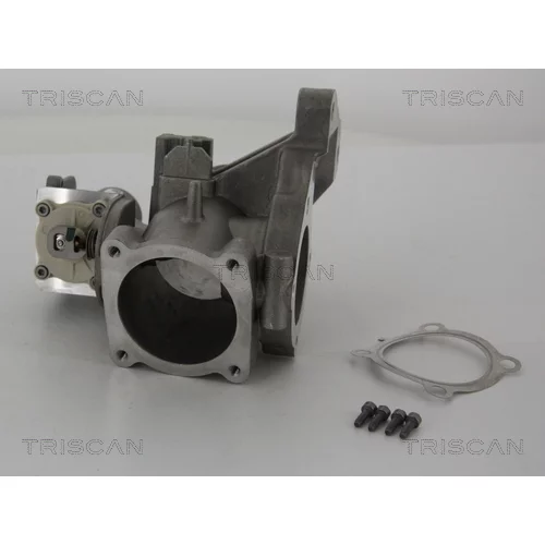 EGR ventil 8813 27001 /TRISCAN/ - obr. 1