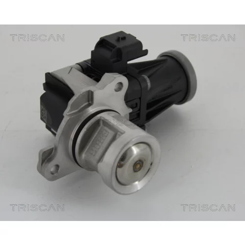EGR ventil TRISCAN 8813 28005