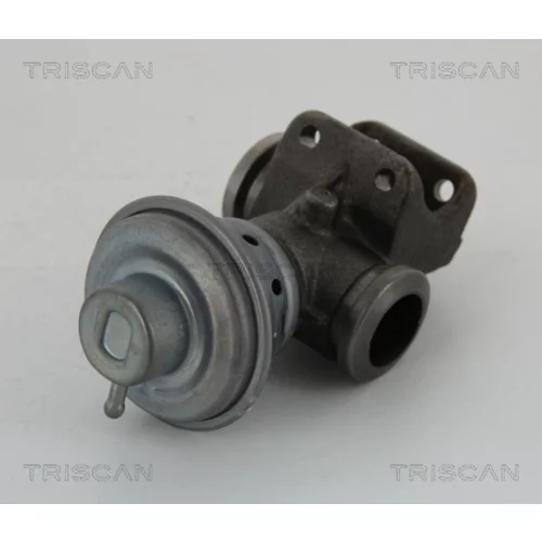 EGR ventil 8813 28013 /TRISCAN/ - obr. 1