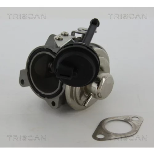 EGR ventil 8813 29022 /TRISCAN/ - obr. 1