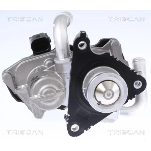 EGR ventil 8813 29058 /TRISCAN/ - obr. 1