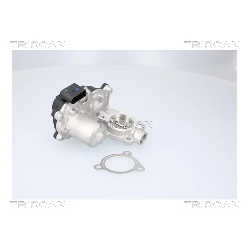 EGR ventil TRISCAN 8813 29116