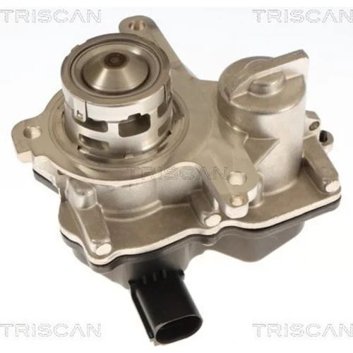 EGR ventil TRISCAN 8813 29119