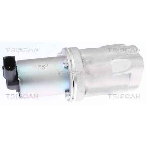 EGR ventil TRISCAN 8813 43009