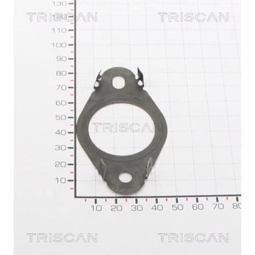 Tesnenie TRISCAN 8813 99120