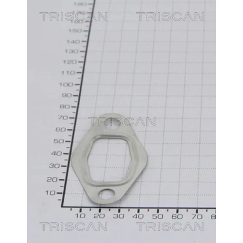 Tesnenie TRISCAN 8813 99121