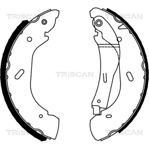 Sada brzdových čeľustí TRISCAN 8100 16005