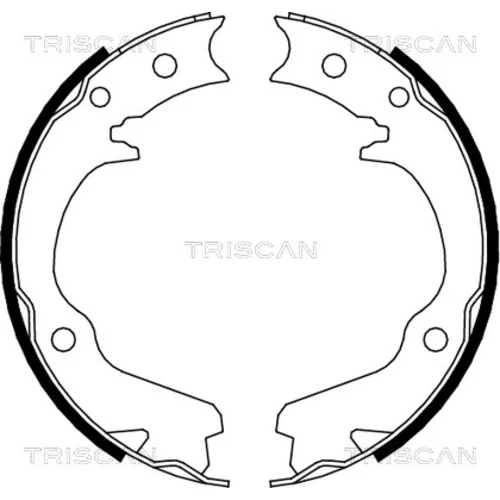 Sada brzdových čeľustí TRISCAN 8100 68001