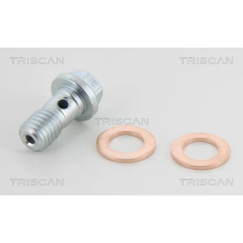 Brzdová hadica 8150 29143 /TRISCAN/ - obr. 3