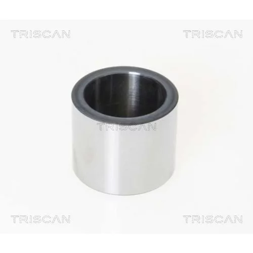 Piest brzdového strmeňa 8170 231582 /TRISCAN/
