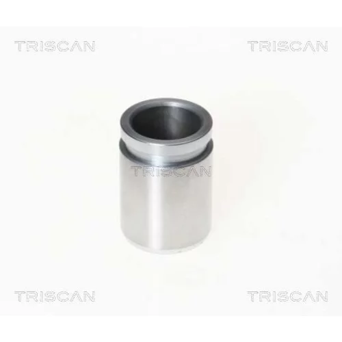 Piest brzdového strmeňa 8170 233210 /TRISCAN/