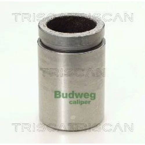 Piest brzdového strmeňa 8170 233311 /TRISCAN/