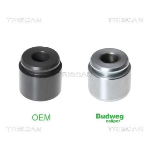 Piest brzdového strmeňa 8170 233424 /TRISCAN/