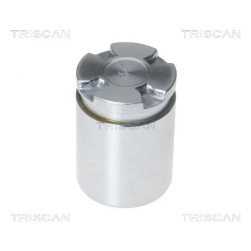 Piest brzdového strmeňa 8170 233433 /TRISCAN/