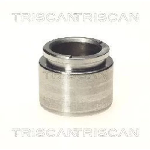 Piest brzdového strmeňa 8170 233505 /TRISCAN/