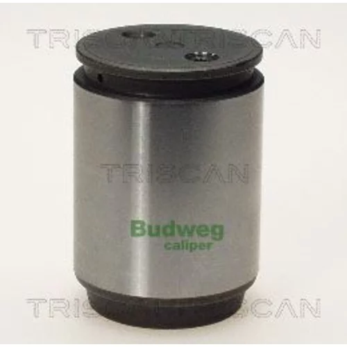 Piest brzdového strmeňa 8170 233621 /TRISCAN/