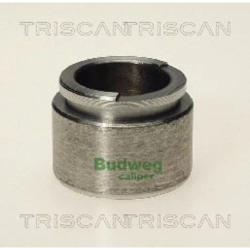 Piest brzdového strmeňa 8170 233810 /TRISCAN/