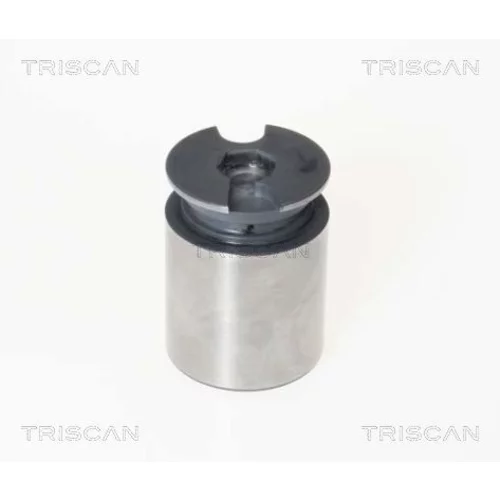 Piest brzdového strmeňa 8170 233863 /TRISCAN/