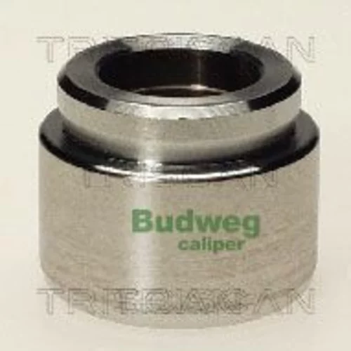 Piest brzdového strmeňa 8170 234004 /TRISCAN/