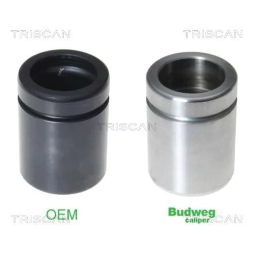 Piest brzdového strmeňa 8170 234233 /TRISCAN/