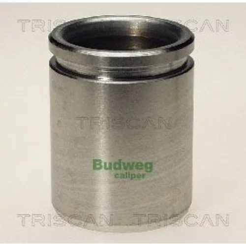 Piest brzdového strmeňa 8170 234330 /TRISCAN/
