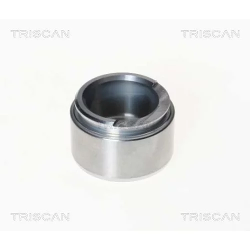 Piest brzdového strmeňa 8170 234809 /TRISCAN/