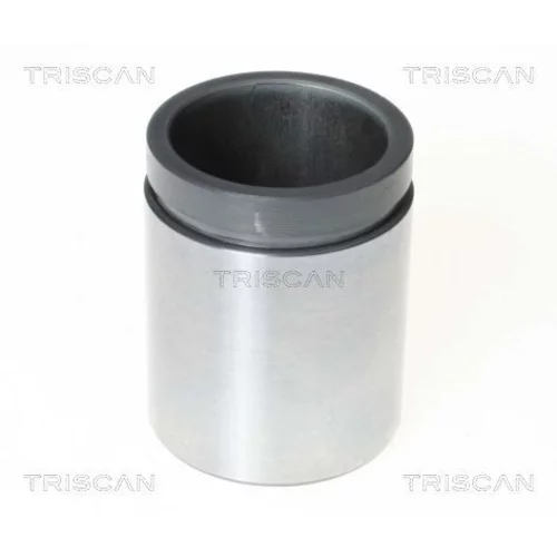 Piest brzdového strmeňa 8170 234861 /TRISCAN/