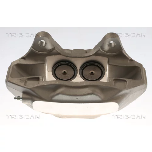 Brzdový strmeň TRISCAN 8175 29173