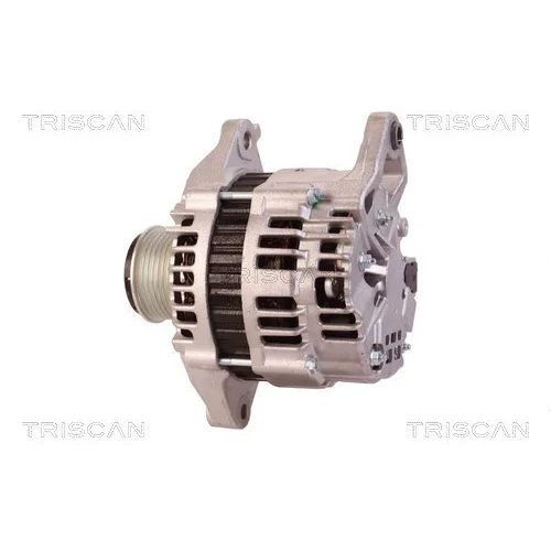 Alternátor 8310 10015 /TRISCAN/ - obr. 7
