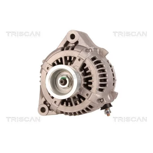 Alternátor 8310 10017 /TRISCAN/ - obr. 5