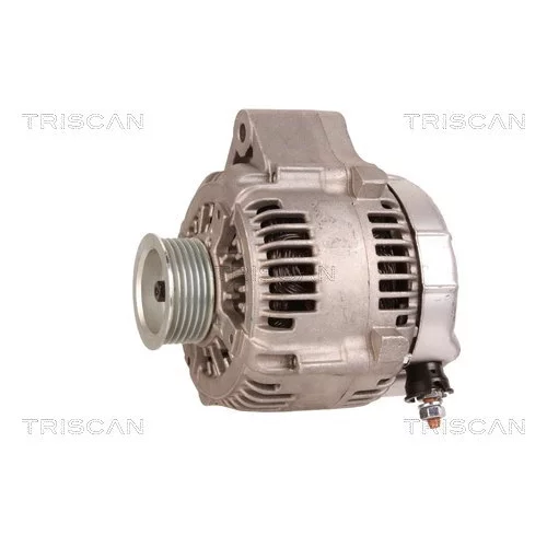 Alternátor 8310 10017 /TRISCAN/ - obr. 6