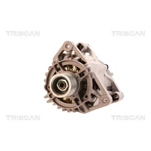 Alternátor 8310 10018 /TRISCAN/ - obr. 5