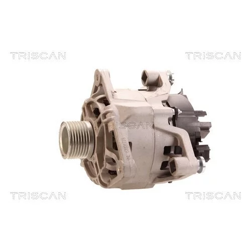 Alternátor 8310 10018 /TRISCAN/ - obr. 6